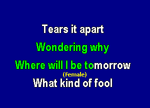 Tears it apart

Wondering why

Where will I be tomorrow

(female)

What kind of fool