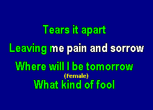 Tears it apart

Leaving me pain and sorrow
Where will I be tomorrow

(female)

What kind of fool