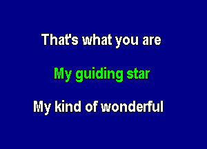 That's what you are

My guiding star

My kind of wonderful