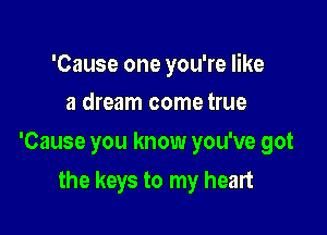 'Cause one you're like
a dream come true

'Cause you know you've got

the keys to my heart