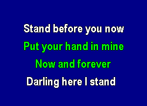 Stand before you now

Put your hand in mine
Now and forever
Darling here I stand