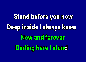 Stand before you now

Deep inside I always knew

Now and forever
Darling here I stand