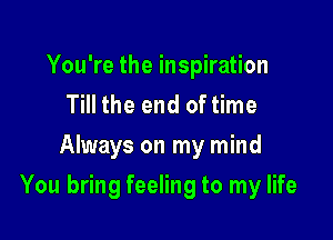 You're the inspiration
Till the end of time
Always on my mind

You bring feeling to my life