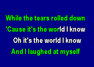 While the tears rolled down
'Cause it's the world I know
Oh it's the world I know

And I laughed at myself