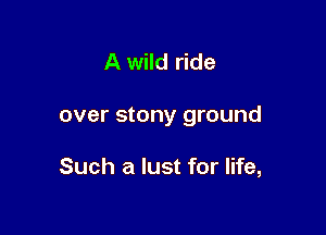 A wild ride

over stony ground

Such a lust for life,