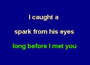 I caught a

spark from his eyes

long before I met you