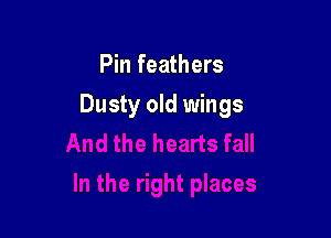 Pin feathers

Dusty old wings