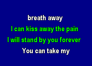 breath away
I can kiss away the pain

I will stand by you forever

You can take my