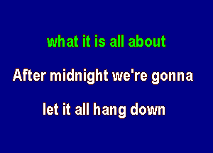 what it is all about

After midnight we're gonna

let it all hang down