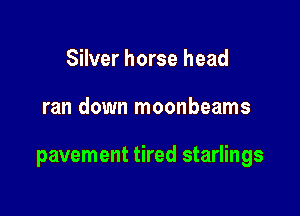 Silver horse head

ran down moonbeams

pavement tired starlings
