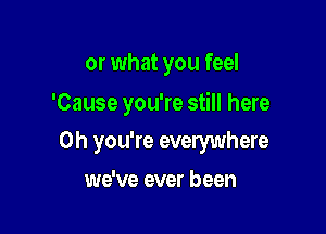 or what you feel

'Cause you're still here

Oh you're everywhere
we've ever been