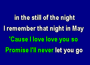 in the still of the night
I remember that night in May
'Cause I love love you so

Promise I'll never let you go