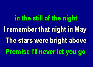 in the still of the night
I remember that night in May
The stars were bright above
Promise I'll never let you go