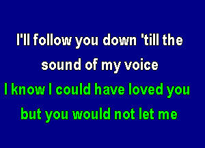 I'll follow you down 'till the
sound of my voice

lknow I could have loved you

but you would not let me