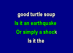 good turtle soup

Is it an earthquake

Or simply a shock
Is it the