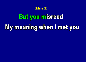 (Male 1)

But you misread

My meaning when I met you