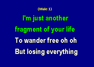 (Male 1)

I'm just another
fragment of your life
To wander free oh oh

But losing everything