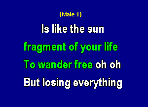 (Male 1)

Is like the sun
fragment of your life
To wander free oh oh

But losing everything