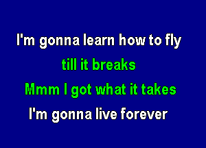 I'm gonna learn howto fly
till it breaks

Mmm I got what it takes

I'm gonna live forever