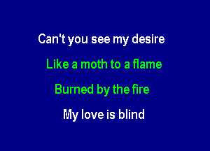 Can't you see my desire

Like a moth to a fIame
Burned by the fire
My love is blind