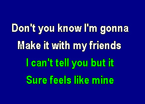 Don't you know I'm gonna

Make it with my friends
lcan't tell you but it
Sure feels like mine