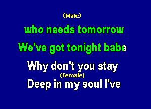(Male)

who needs tomorrow
We've got tonight babe

Why don't you stay

(Female)

Deep in my soul I've
