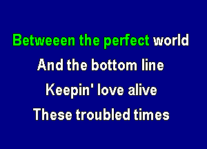 Betweeen the perfect world
And the bottom line

Keepin' love alive

These troubled times