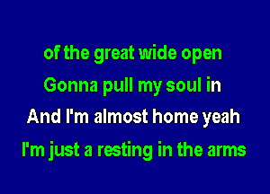 of the great wide open

Gonna pull my soul in
And I'm almost home yeah

I'm just a resting in the arms
