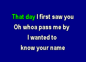 That day I first saw you

Oh whoa pass me by
lwanted to
know your name
