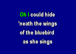 Oh I could hide
'neath the wings

of the bluebird
as she sings