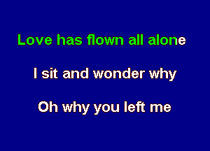 Love has flown all alone

I sit and wonder why

Oh why you left me