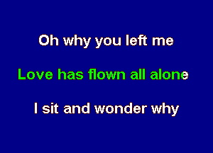 0h why you left me

Love has flown all alone

I sit and wonder why