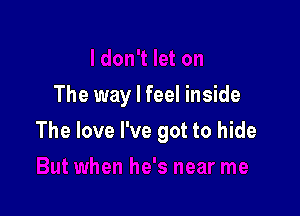 The way I feel inside

The love I've got to hide
