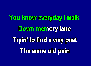 You know everyday I walk
Down memory lane

Tryin' to find a way past

The same old pain