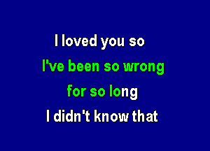 I loved you so

I've been so wrong

for so long
I didn't know that