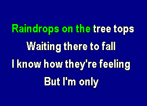 Raindrops on the tree tops
Waiting there to fall

I know how they're feeling

But I'm only