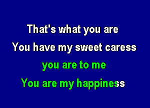 That's what you are

You have my sweet caress
you are to me

You are my happiness