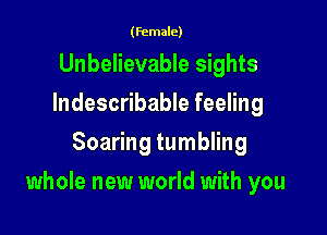 (female)

Unbelievable sights
Indescribable feeling
Soaring tumbling

whole new world with you