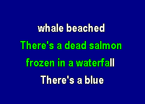 whale beached
There's a dead salmon

frozen in a waterfall

There's a blue
