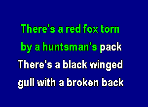 There's a red fox torn
by a huntsman's pack

There's a black winged

gull with a broken back