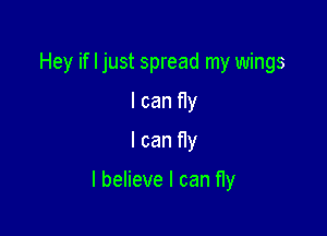 Hey if I just spread my wings
I can fly
I can fly

I believe I can fly