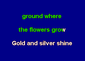 ground where

the flowers grow

Gold and silver shine