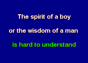 The spirit of a boy

or the wisdom of a man

is hard to understand