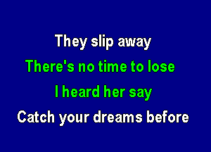 They slip away
There's no time to lose

I heard her say

Catch your dreams before