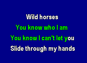 Wild horses
You know who I am

You know I can't let you

Slide through my hands