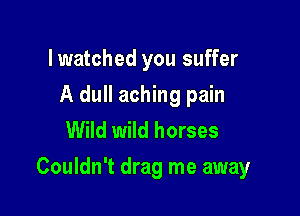 lwatched you suffer
A dull aching pain
Wild wild horses

Couldn't drag me away
