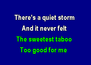 There's a quiet storm

And it never felt
The sweetest taboo
Too good for me