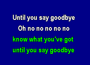 Until you say goodbye
Oh no no no no no
know what you've got

until you say goodbye