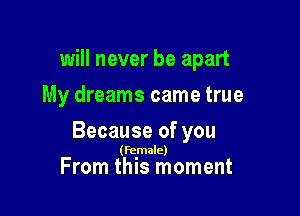 will never be apart
My dreams came true

Because of you

(Female)

From this moment