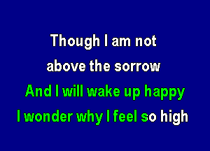 Though I am not
above the sorrow
And I will wake up happy

I wonder why I feel so high